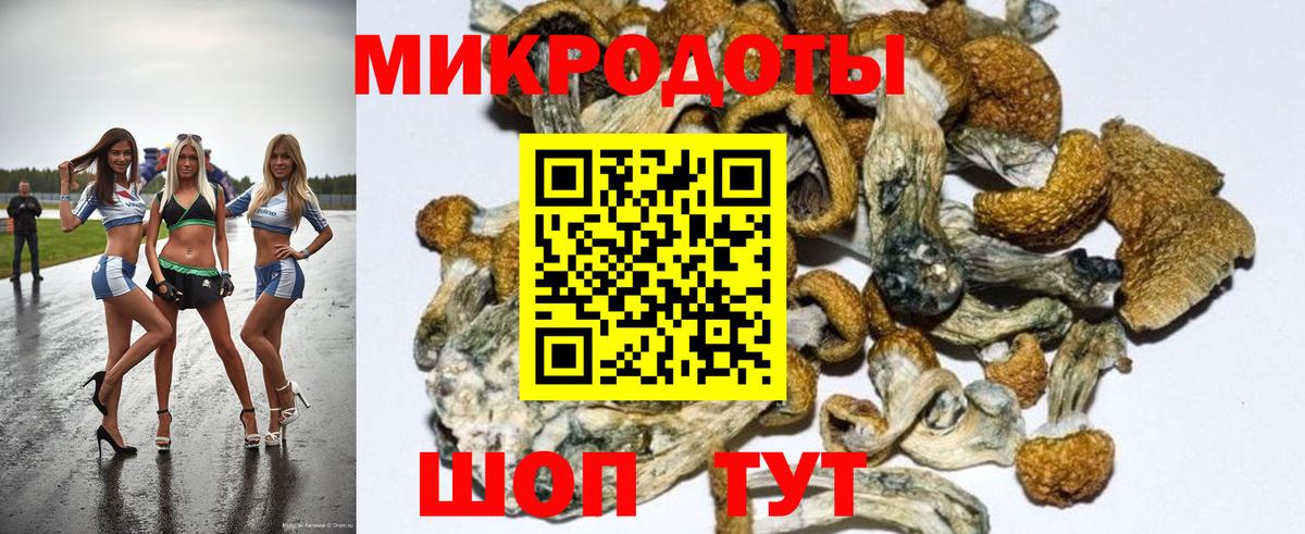 Псилоцибиновые грибы прущие грибы  Псилоцибиновые грибы Psilocybine cubensis  Вход с VPN  Вязники 