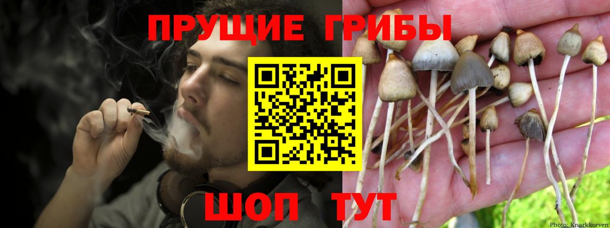Галлюциногенные грибы Magic Shrooms Вязники